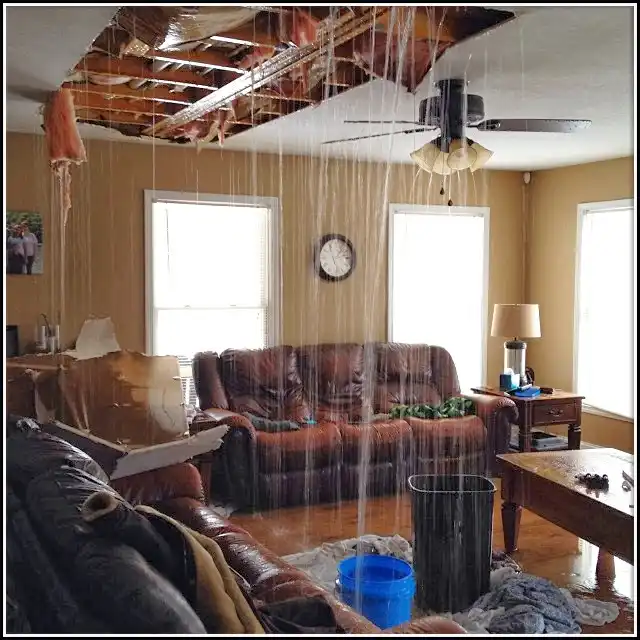 Water Damage Restoration services in Audubon, NJ