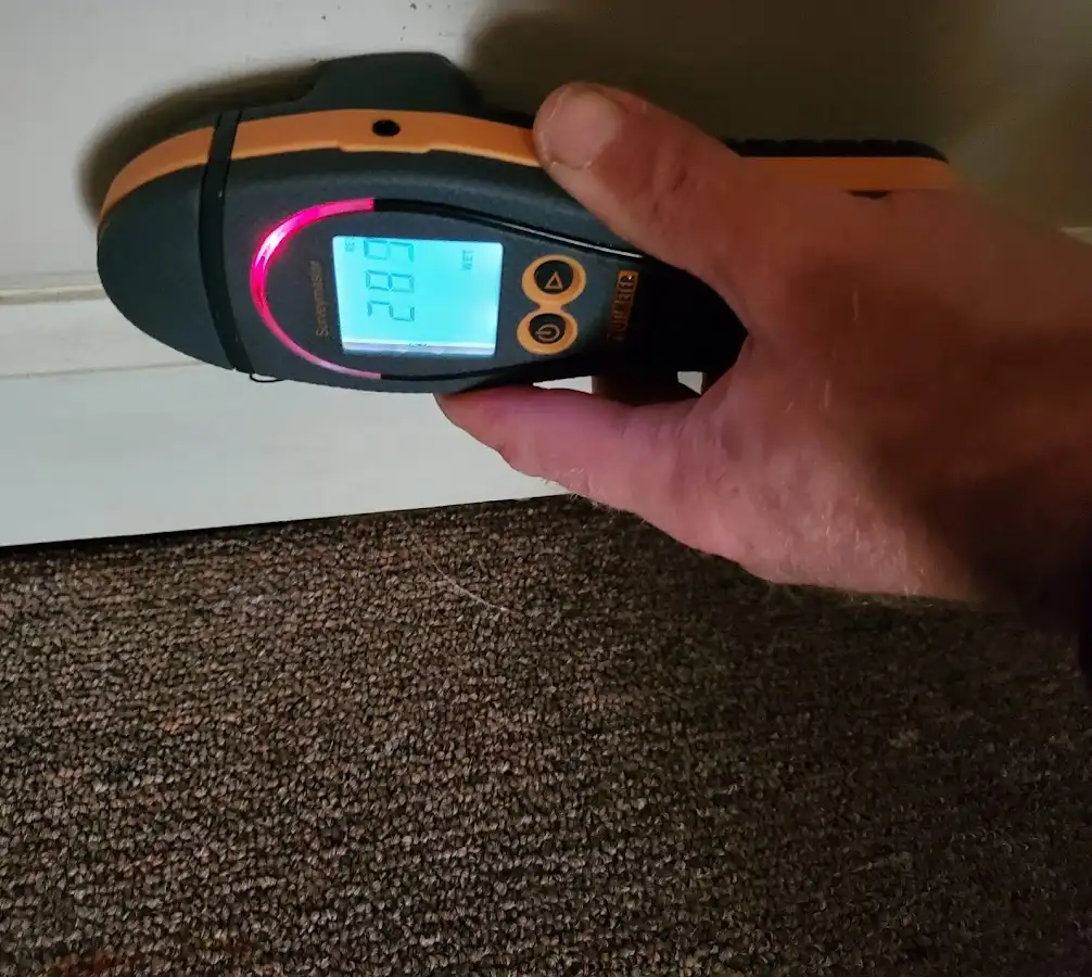 Moisture detection at baseboard during Mold Inspection & Testing in Audubon